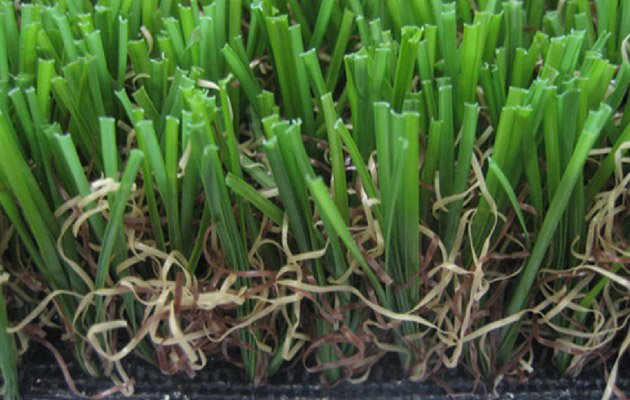 Goldcoin Wholesale Mart Product