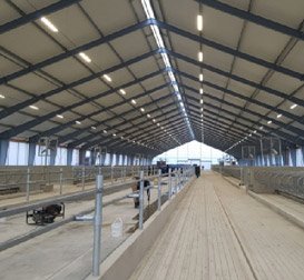 Goldcoin Industries Product