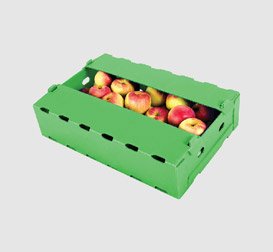 Goldcoin Polyplast Product